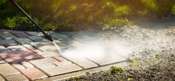 Best Sidewalk and Walkway Cleaning  in West Columbia, SC
